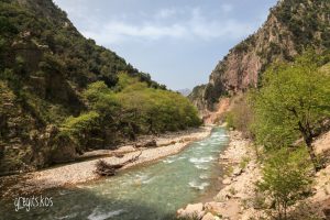 Τρικεριώτη Τρικεριώτη