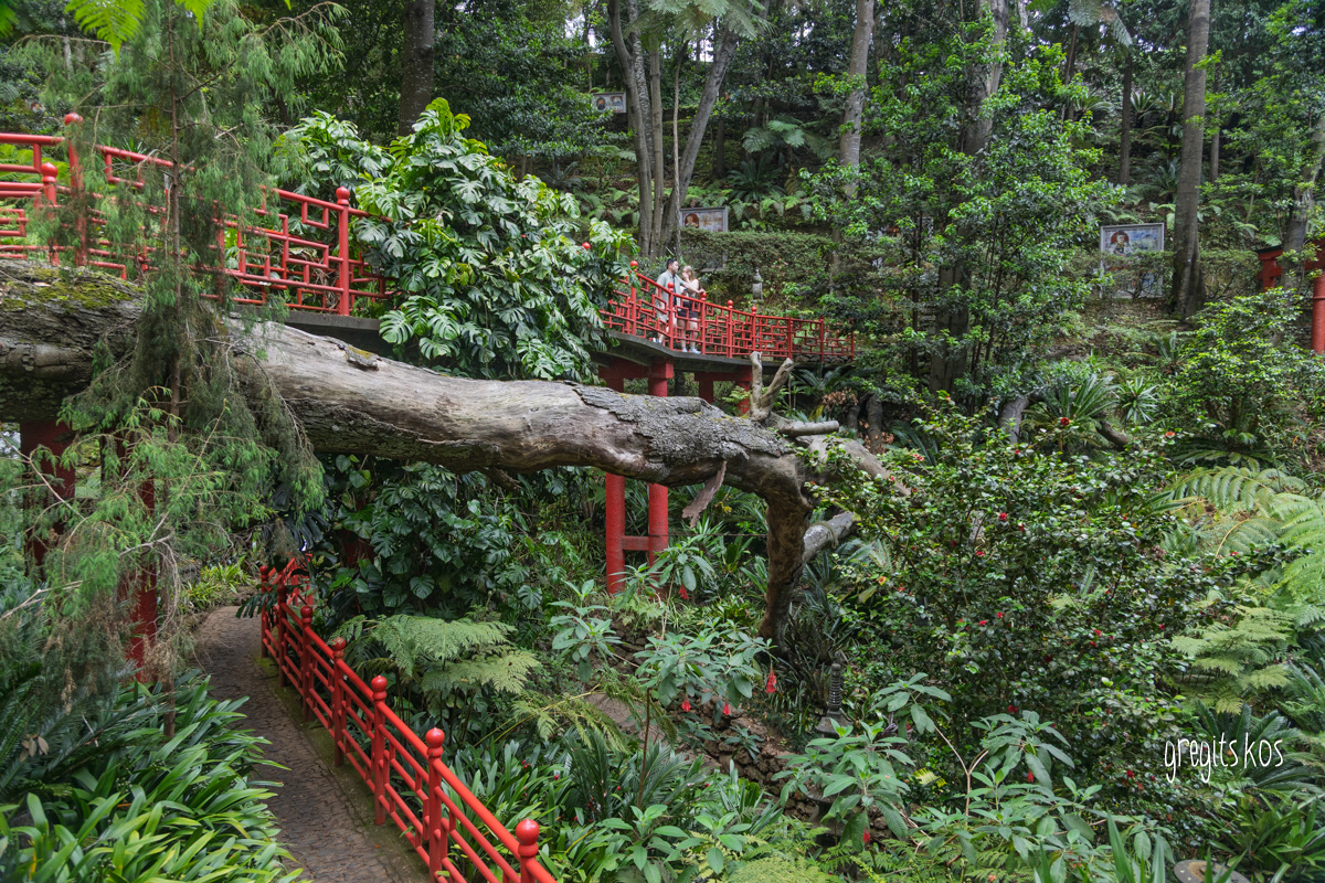 Monte Palace Tropical Garden