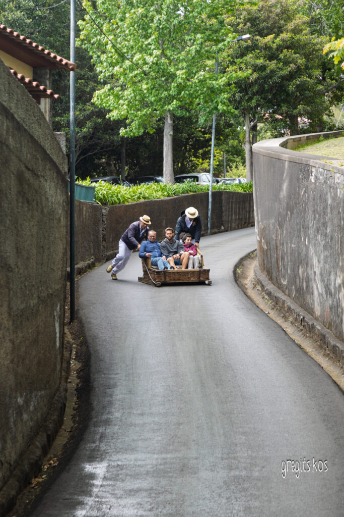 Toboggan